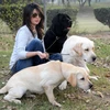 Những chú chó cùng với chủ nhân tại triển lãm vật nuôi tại Lahore, Pakistan ngày 10/12. (Nguồn: THX/TTXVN)