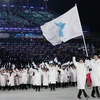 Màn pháo hoa rực rỡ tại lễ khai mạc Olympic PyeongChang 2018. (Nguồn: THX/TTXVN)