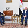 Ngoại trưởng Mỹ Rex Tillerson (trái) và Tổng thống Ai Cập Abdel-Fattah El-Sisi. (Nguồn: Egyptian Presidency)