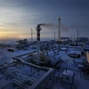 Cơ sở lọc dầu của Tập đoàn Gazprom tại Cape Kamenny ở ngoài khơi vùng Vịnh Ob thuộc Khu tự trị Yamalo-Nenets, cách thị trấn Nadym (miền bắc Nga) 250km về phía Bắc. (Nguồn: AFP/TTXVN)