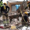 Lực lượng cứu hộ tìm kiếm người mất tích sau trận động đất ở Mexico City, Mexico ngày 25/9/2017. (Nguồn: THX/TTXVN)