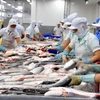 [Video] EC và Hoa Kỳ thanh tra cá da trơn của Việt Nam 