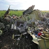 Những mảnh vỡ của chiếc máy bay xấu số MH17 ngày 19/7/2014. (Nguồn: AFP/TTXVN)