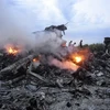 Hiện trường vụ rơi máy bay MH17 ở gần Donetsk, Ukraine ngày 17/7/2014. (Nguồn: EPA/TTXVN)