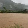 Mưa lũ gây ngập lụt tại huyện Văn Bàn (Lào Cai). (Ảnh: Hương Thu/TTXVN)