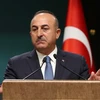 Ngoại trưởng Thổ Nhĩ Kỳ Mevlut Cavusoglu phát biểu trong cuộc họp báo tại Ankara. (Nguồn: AFP/TTXVN)