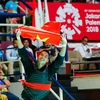 Võ sỹ Trần Đình Nam giành huy chương vàng môn Pencak Silat. (Ảnh: Trọng Tuệ-Phúc Hưng/TTXVN) 