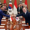 Tổng thống Hàn Quốc Moon Jae-in (thứ 3, phải) và Tổng thống Indonesia Joko Widodo (thứ 3, trái) tại cuộc hội đàm ở Seoul. (Nguồn: YONHAP/TTXVN)