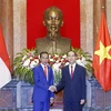 Chủ tịch nước Trần Đại Quang và Tổng thống Indonesia Joko Widodo tại lễ đón. (Ảnh: Nhan Sáng/TTXVN)
