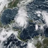 Hình ảnh vệ tinh chụp bão Michael ở ngoài khơi Vịnh duyên hải Mexico của Mỹ. (Nguồn: AFP/TTXVN)