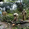 Cây cối bị gió quật đổ ở khu vực nằm giữa Gopalpur và Berhampura khi bão Titli đổ bộ vào bang Odisha, miền Đông Ấn Độ ngày 11/10. (Nguồn: AFP/TTXVN) 