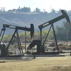 Giàn khoan hoạt động tại giếng dầu của Tập đoàn Chevron ở Bakersfield, California, Mỹ tháng 11/2016. (Nguồn: AFP/TTXVN) 