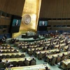 Một phiên họp của Đại hội đồng Liên hợp quốc. (Nguồn: THX/TTXVN) 