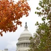 Tòa nhà Quốc hội Mỹ tại Washington DC., ngày 6/11. (Nguồn: THX/TTXVN) 