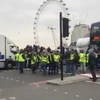 Những người ủng hộ Brexit trên cầu Westminster. (Nguồn: Twitter) 