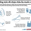 [Infographics] Những loại đồ nhựa châu Âu đang muốn cấm