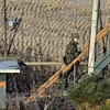Binh sỹ Hàn Quốc tuần tra tại tuyến đường dẫn tới khu công nghiệp Kaesong ở thành phố biên giới Paju, gần Khu phi quân sự (DMZ) giữa hai miền. (Nguồn: AFP/TTXVN) 