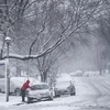 Tuyết phủ trắng xóa tại Arlington, Virginia, Mỹ sau trận bão tuyết ngày 21/3/2018. (Nguồn: AFP/TTXVN) 