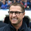Huấn luyện viên Vital Borkelmans. (Nguồn: foxsportsasia.com) 