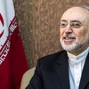 Người đứng đầu Tổ chức Năng lượng Nguyên tử Iran (AEOI), ông Ali Akbar Salehi. (Nguồn: spiegel.de) 