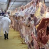 Thịt bò được bày bán tại một chợ thực phẩm quốc tế ở Rungis, Pháp. (Nguồn: AFP/TTXVN) 