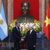 Tổng Bí thư, Chủ tịch nước Nguyễn Phú Trọng và Tổng thống Argentina Mauricio Macri. Ảnh: Lâm Khánh/TTXVN) 