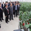 [Video] Đoàn lãnh đạo cấp cao Triều Tiên thăm VinFast và VinEco