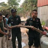 Cảnh sát bơm nước giúp một gia đình ở Koh Kong. (Nguồn: khmertimeskh.com) 