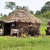 Ngôi nhà của người Fulani. (Nguồn: Getty Images) 
