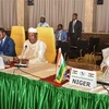 Lãnh đạo các nước thành viên của Cộng đồng Sahel-Sahara tham dự hội nghị ở N'Djamena, Cộng hòa Chad ngày 13/4. (Nguồn: AFP/TTXVN) 