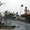 Cảnh ngổn ngang sau khi bão Fani đổ bộ vào bang Odisha, Ấn Độ ngày 3/5/2019. (Nguồn: THX/TTXVN) 