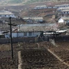Đất trồng trọt khô hạn tại Nampho, tỉnh Nam Phyongan, Triều Tiên. (Nguồn: AFP/TTXVN) 