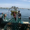 Ngư dân Palestine đánh cá tại cảng ở thành phố Gaza ngày 10/5/2019. (Nguồn: THX/TTXVN) 