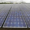 Các tấm pin năng lượng Mặt Trời tại nhà máy điện ở Kanagawa, Nhật Bản. (Nguồn: AFP/TTXVN) 