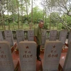 [Video] Chuyện về những người lính Triều Tiên hy sinh ở Việt Nam