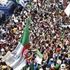 Người dân Algeria tập trung biểu tình phản đối Chính phủ tại thủ đô Algiers ngày 12/7/2019. (Nguồn: AFP/TTXVN) 