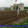 [Video] Trang trại trồng rau sạch trên mái nhà lớn nhất New York