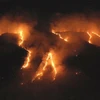 Cháy xảy ra tại rừng mưa Amazon ở bang Tocantins, Brazil ngày 17/8/2019. (Nguồn: THX/TTXVN) 