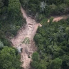 Khoảng rừng Amazon bị chặt phá tại Para, Brazil, ngày 14/10/2014. (Nguồn: AFP/TTXVN) 