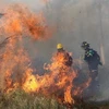 Lực lượng cứu hỏa nỗ lực dập lửa cháy rừng tại Robore, tỉnh Santa Cruz, Bolivia, ngày 19/8/2019. (Nguồn: AFP/TTXVN) 