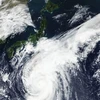  Cơ quan khí tượng Nhật Bản dự báo sức gió có thể đạt tới mức 216 km/giờ. (Nguồn: stuff.co.nz) 