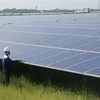 Kiểm tra tấm năng lượng điện Mặt Trời tại Nhà máy điện Mặt Trời TTC Đức Huệ 1. (Ảnh: Thanh Bình/TTXVN) 