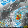 Hình ảnh vệ tinh của cơn bão. (Nguồn: NOAA) 