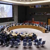 Toàn cảnh một cuộc họp Hội đồng Bảo an Liên hợp quốc tại New York, Mỹ. (Nguồn: THX/TTXVN) 