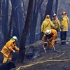 Lực lượng cứu hỏa nỗ lực dập lửa cháy rừng tại Dargan, Australia, ngày 18/12/2019. (Nguồn: AFP/TTXVN) 