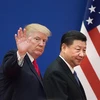 Tổng thống Mỹ Donald Trump (trái) và Chủ tịch Trung Quốc Tập Cận Bình trong cuộc gặp tại Bắc Kinh (Trung Quốc). (Nguồn: AFP/TTXVN) 