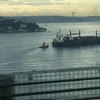 Tàu chở hàng treo cờ Liberia đã đâm vào bờ tại eo biển Bosphorus của Thổ Nhĩ Kỳ. (Nguồn: hurriyetdailynews.com) 