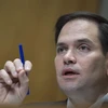 Thượng nghị sỹ Marco Rubio. (Nguồn: AFP/TTXVN) 