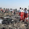 Lực lượng cứu hộ làm nhiệm vụ tại hiện trường vụ rơi máy bay chở khách của Hãng hàng không quốc tế Ukraine ở Tehran, Iran ngày 8/1/2020. (Nguồn: IRNA/TTXVN) 