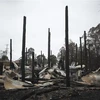 Nhà cửa bị phá hủy sau vụ cháy rừng tại thị trấn Mogo, Australia, ngày 18/1/2020. (Nguồn: THX/TTXVN) 